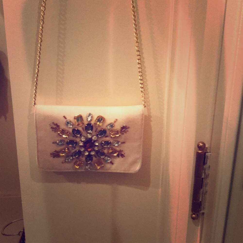 Shiraleah velvet with gold chain and studded purse